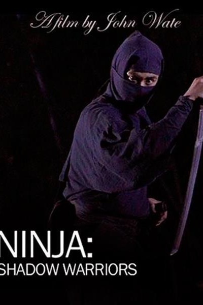 Cubierta de Ninja Shadow Warriors