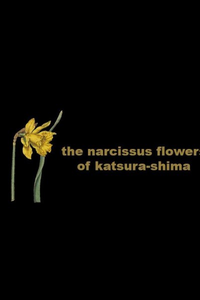 Cubierta de The Narcissus Flowers of Katsura-shima