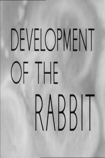 Cubierta de Development of the Rabbit