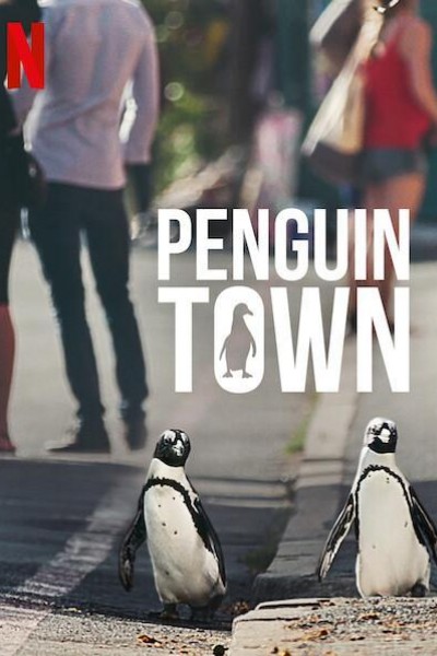 Caratula, cartel, poster o portada de Colonia Pingüino