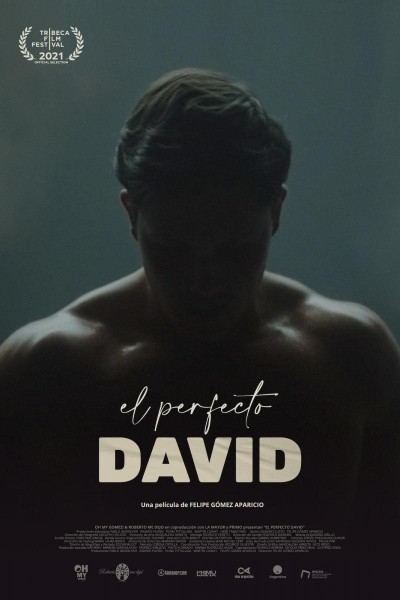 Caratula, cartel, poster o portada de El perfecto David