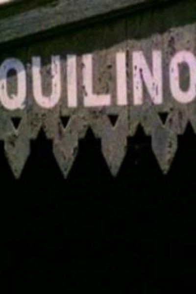 Cubierta de Quilino