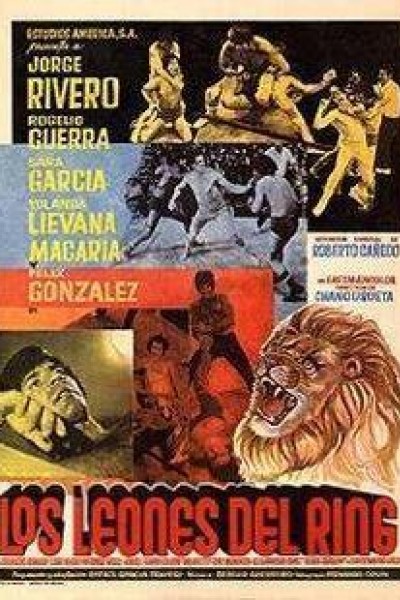 Cubierta de Los leones del ring