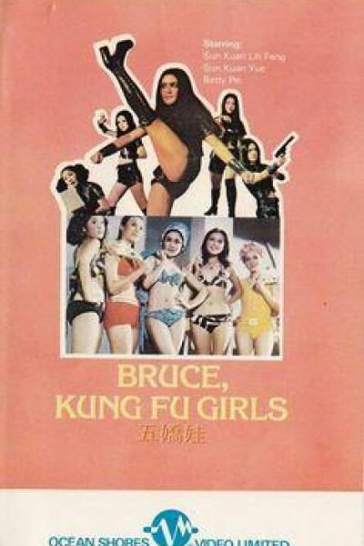 Caratula, cartel, poster o portada de Las cinco hermanas de Bruce Lee