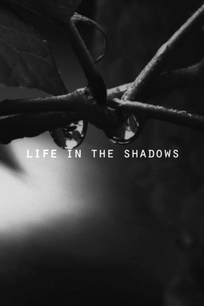 Cubierta de Life in the Shadows