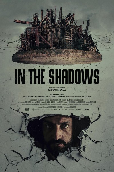 Caratula, cartel, poster o portada de In the Shadows