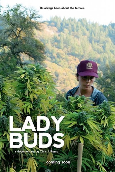 Cubierta de Lady Buds