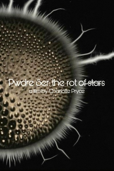 Cubierta de Pwdre Ser: the rot of stars