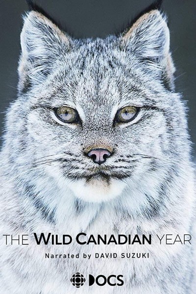 Cubierta de El año de la naturaleza canadiense