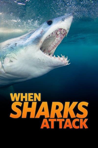 Caratula, cartel, poster o portada de When Sharks Attack