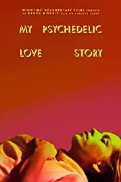 Caratula, cartel, poster o portada de My Psychedelic Love Story