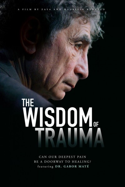 Caratula, cartel, poster o portada de The Wisdom of Trauma