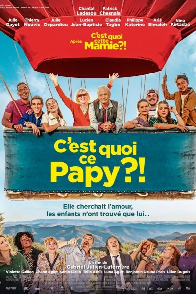 Caratula, cartel, poster o portada de C\'est quoi ce papy?!