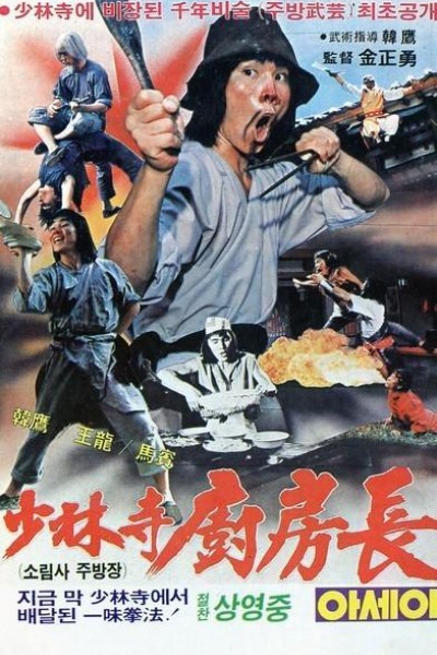 Caratula, cartel, poster o portada de La furia de Shaolin