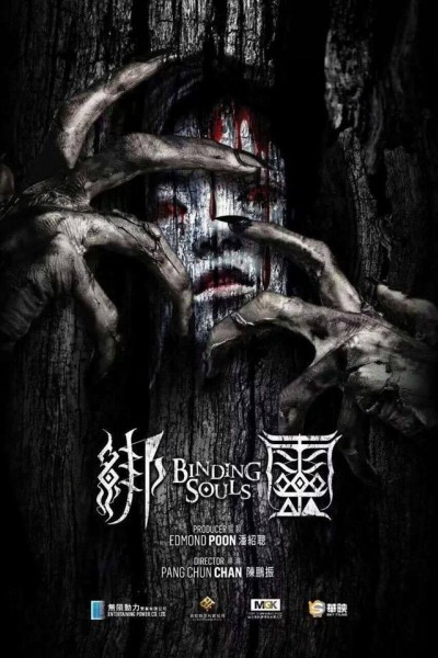Caratula, cartel, poster o portada de Binding Souls