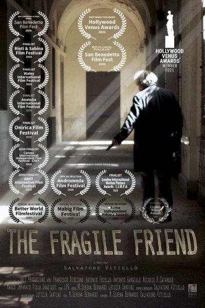 Cubierta de The Fragile Friend