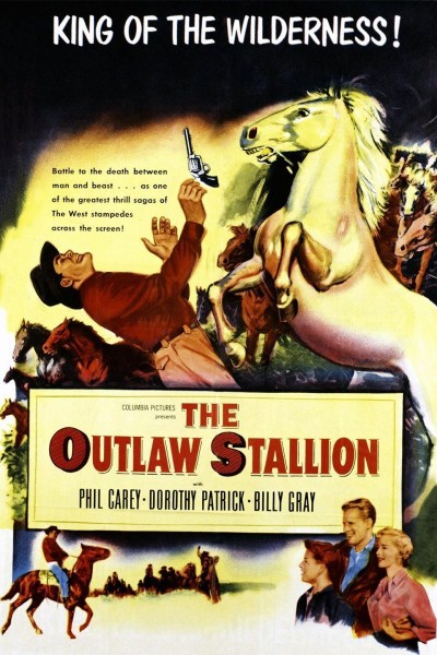 Caratula, cartel, poster o portada de The Outlaw Stallion