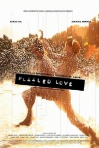 Caratula, cartel, poster o portada de Puzzled Love