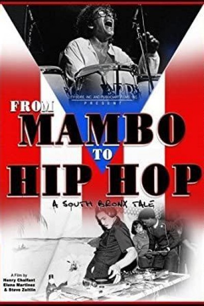 Cubierta de From Mambo to Hip Hop: A South Bronx Tale