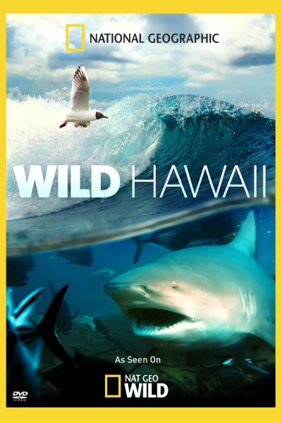 Caratula, cartel, poster o portada de Wild Hawaii