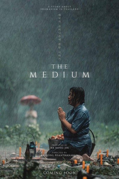 Caratula, cartel, poster o portada de The Medium