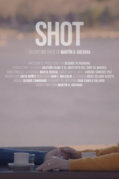 Caratula, cartel, poster o portada de Shot