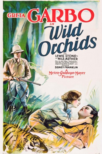 Caratula, cartel, poster o portada de Orquídeas salvajes