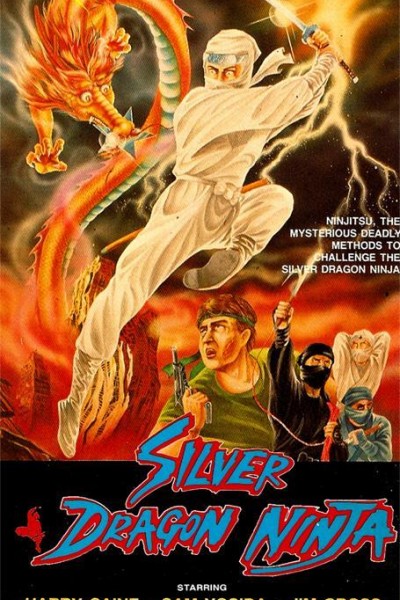 Caratula, cartel, poster o portada de Silver Dragon