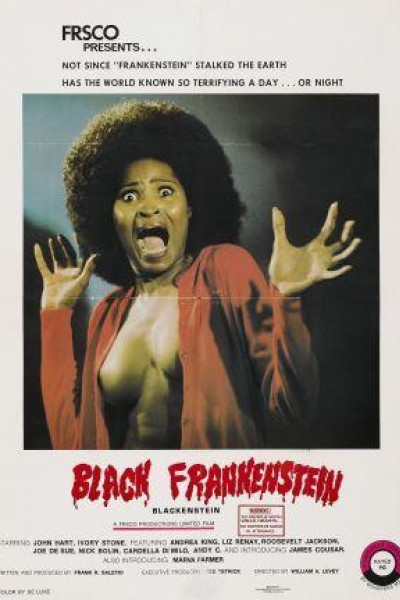 Caratula, cartel, poster o portada de Blackenstein