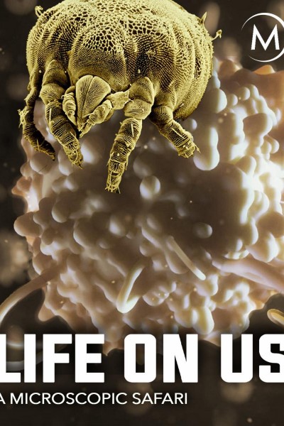 Cubierta de Life on Us: A Microscopic Safari