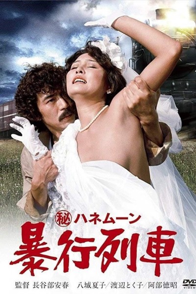 Caratula, cartel, poster o portada de Secret Honeymoon: Rape Train