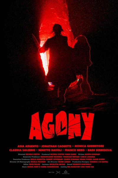 Caratula, cartel, poster o portada de Agony