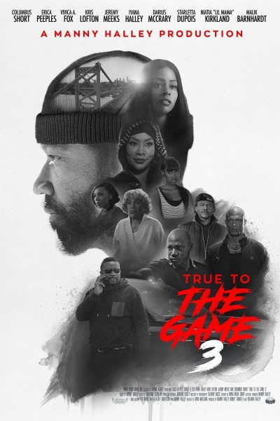 Caratula, cartel, poster o portada de True to the Game 3