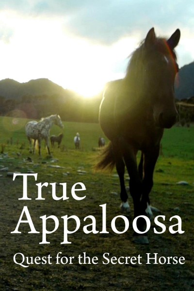 Cubierta de True Appaloosa