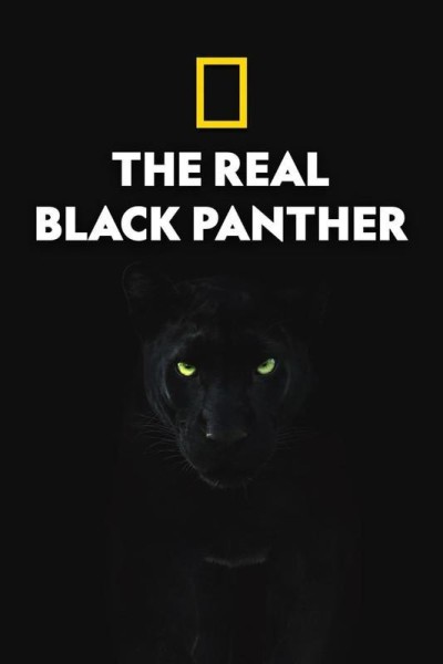 Caratula, cartel, poster o portada de The Real Black Panther
