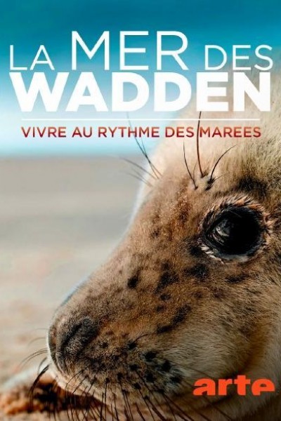 Caratula, cartel, poster o portada de La mer des Wadden - Vivre au rythme des marées