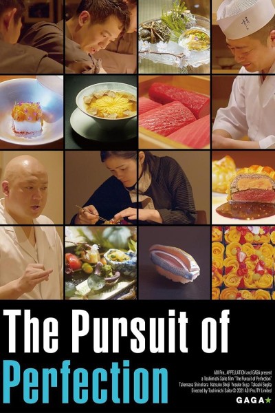 Caratula, cartel, poster o portada de The Pursuit of Perfection