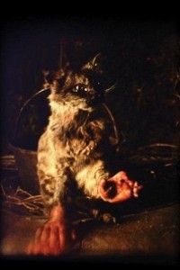 Caratula, cartel, poster o portada de The Cat with Hands