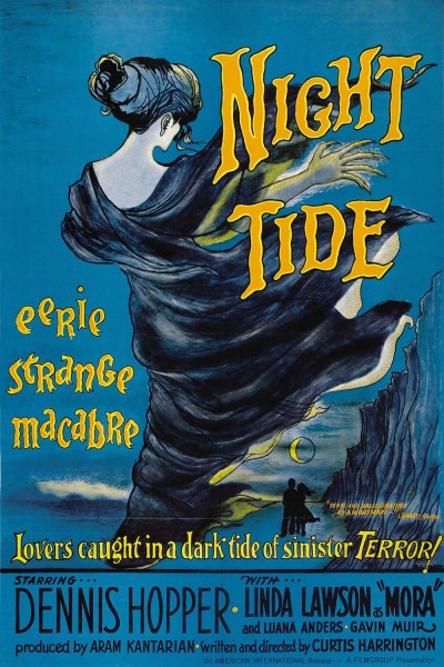 Caratula, cartel, poster o portada de Marea nocturna