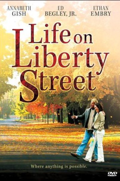Cubierta de La vida en la calle Liberty