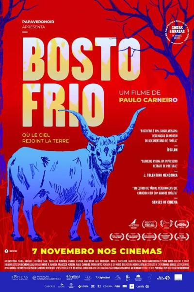 Caratula, cartel, poster o portada de Bostofrio