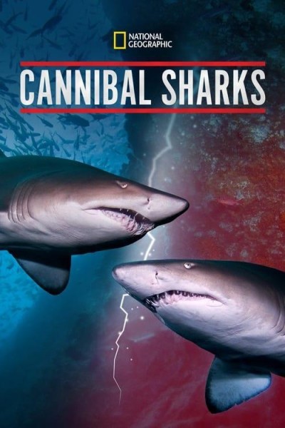 Caratula, cartel, poster o portada de Cannibal Sharks