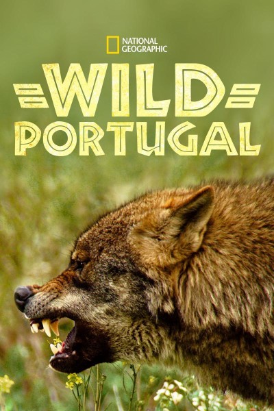 Caratula, cartel, poster o portada de Portugal Salvaje