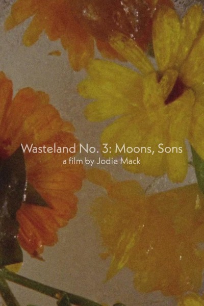 Cubierta de Wasteland No. 3: Moons, Sons