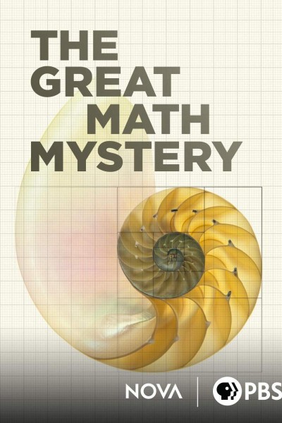 Caratula, cartel, poster o portada de El gran misterio de las matemáticas