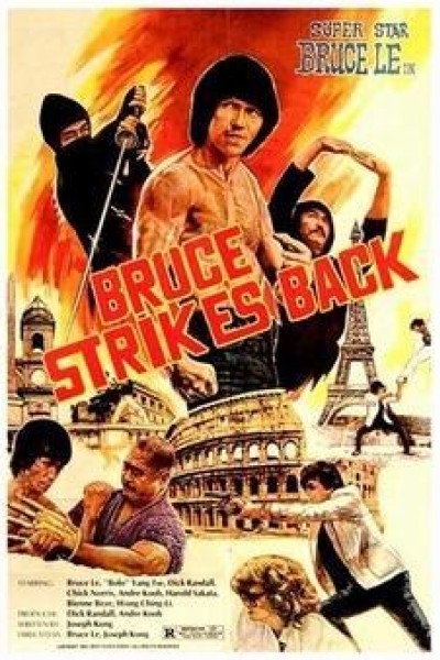Caratula, cartel, poster o portada de Bruce Strikes Back