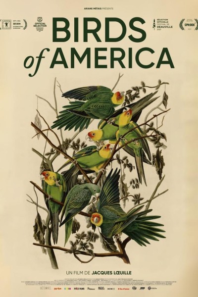 Caratula, cartel, poster o portada de Aves de América