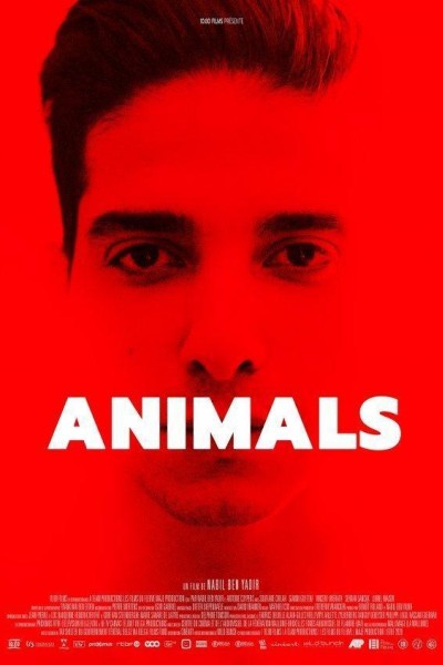 Caratula, cartel, poster o portada de Animals