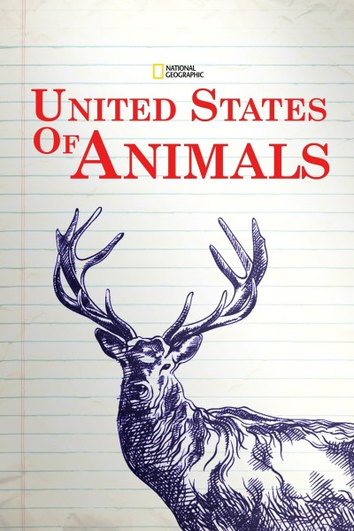 Caratula, cartel, poster o portada de United States of Animals