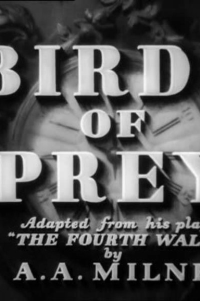 Caratula, cartel, poster o portada de Birds of Prey